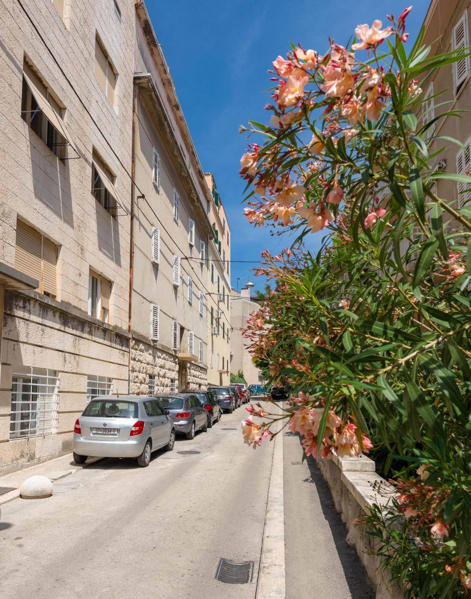 Luxury Rooms And Apartment Silente Bacvice Split Zewnętrze zdjęcie